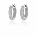 Luxe Moissanite Hoop Earrings